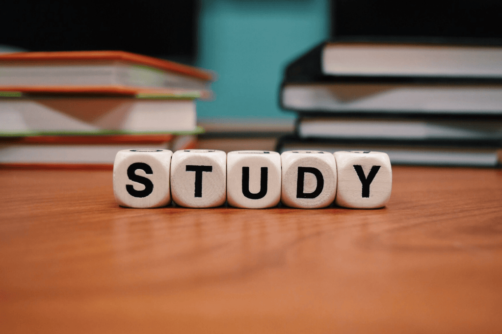 Why should you study genealogy courses?