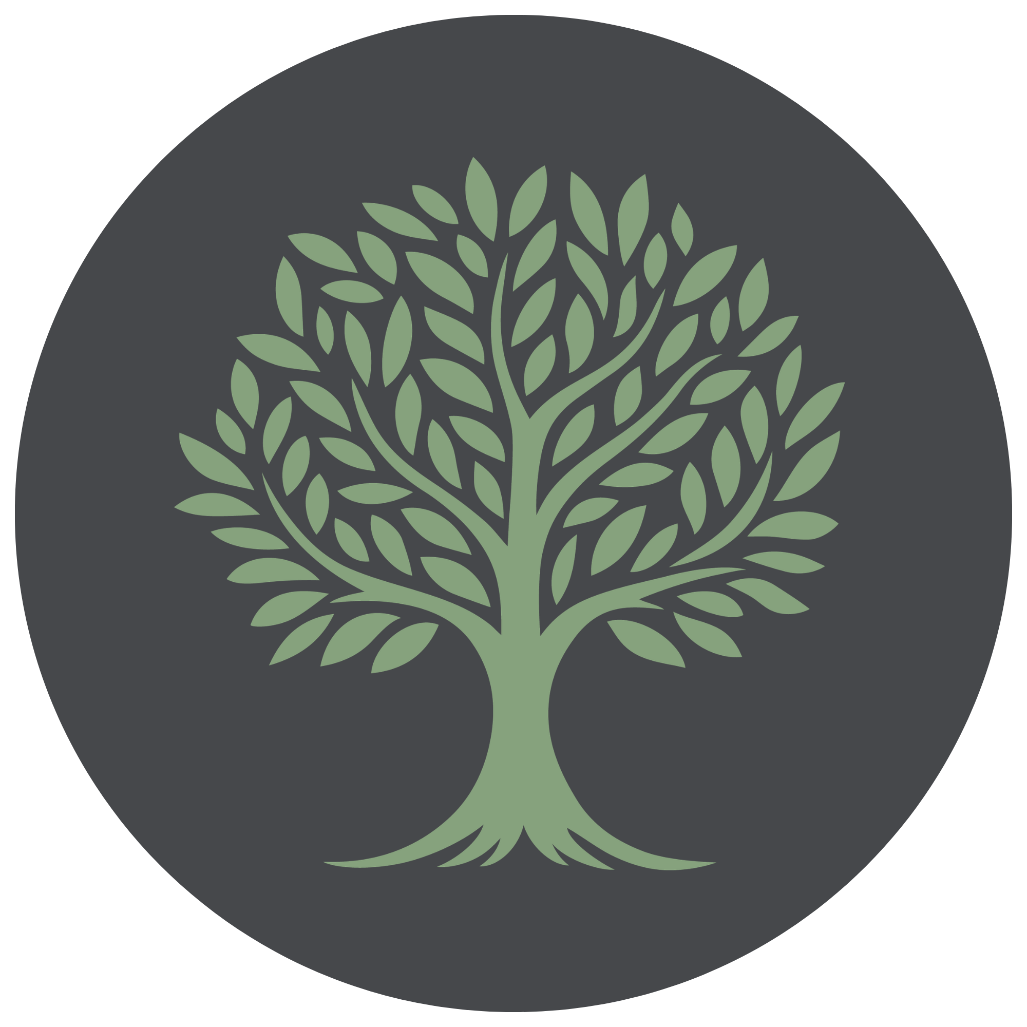 Who Am I? Family Tree Research