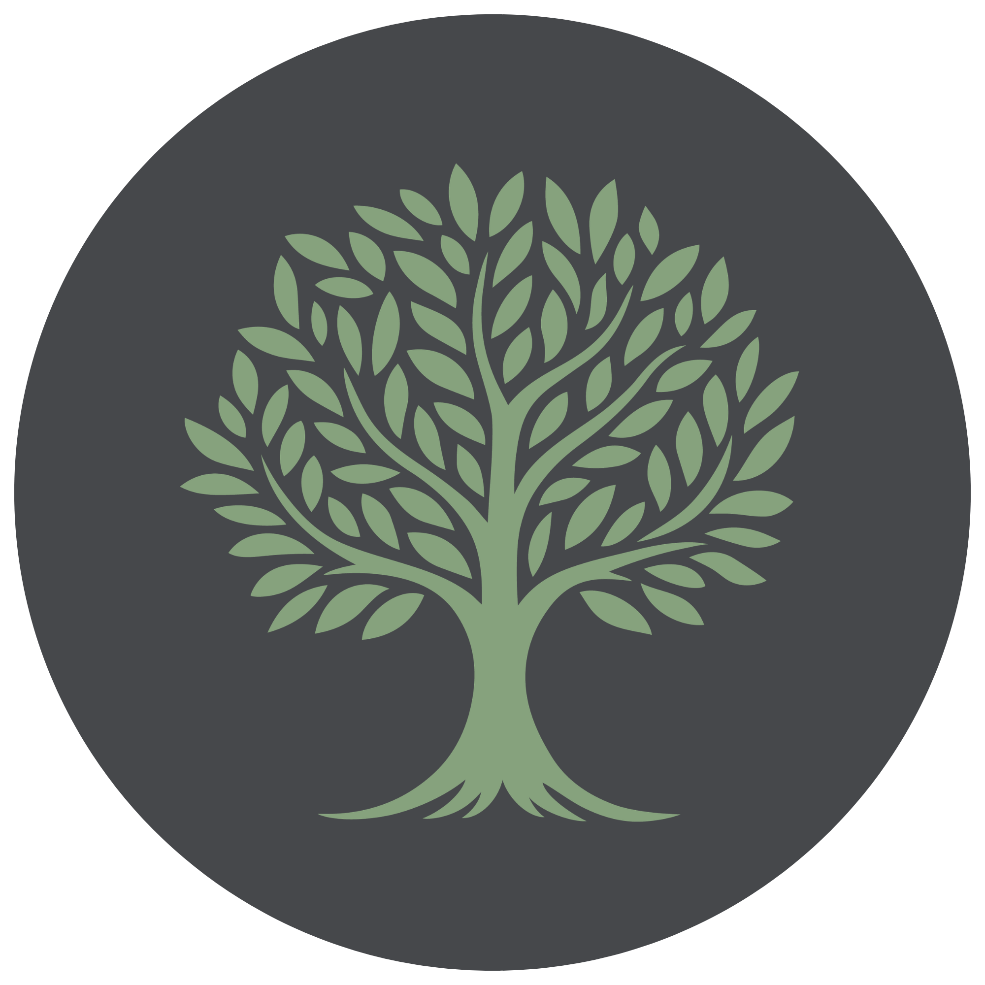 Who Am I? Family Tree Research