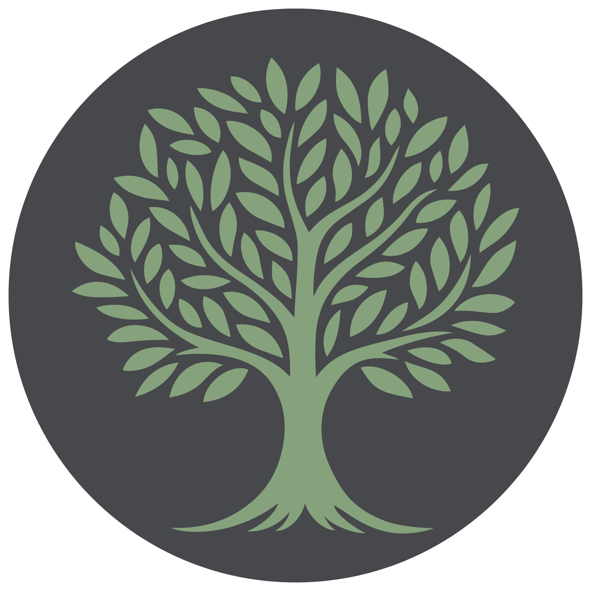 Who Am I? Family Tree Research